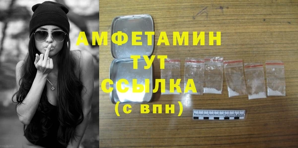 стафф Ельня