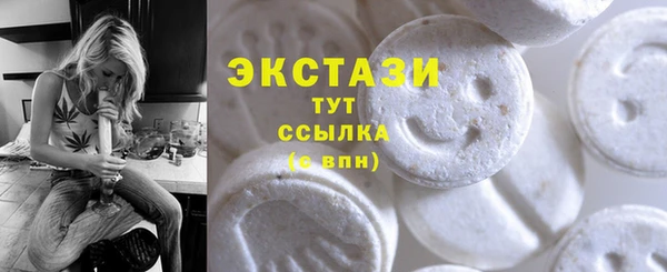 стафф Ельня