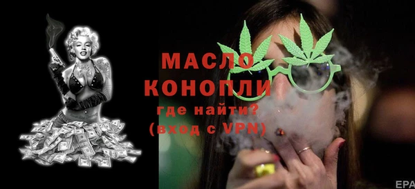 стафф Ельня