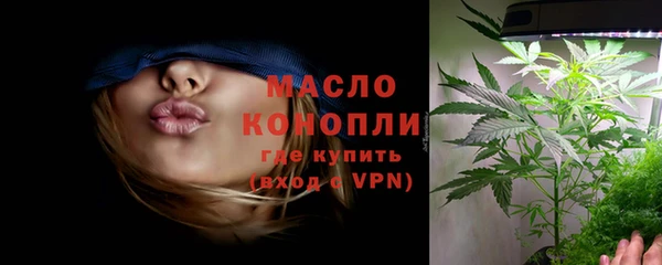 стафф Ельня