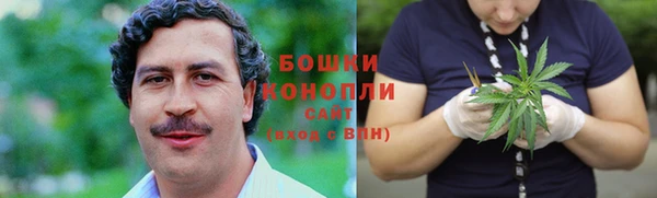 стафф Ельня