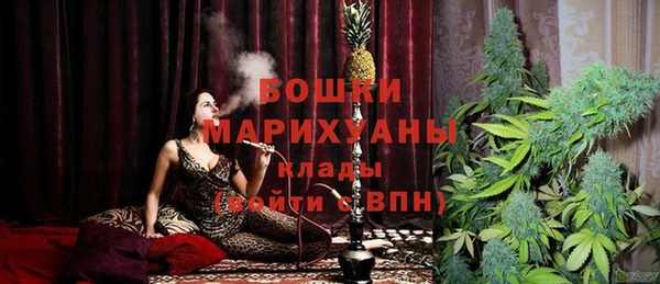 стафф Ельня