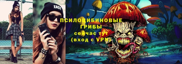 экстази Дмитриев