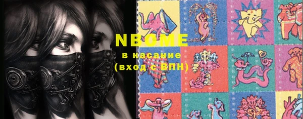 стафф Ельня