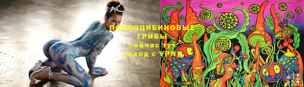 стафф Ельня