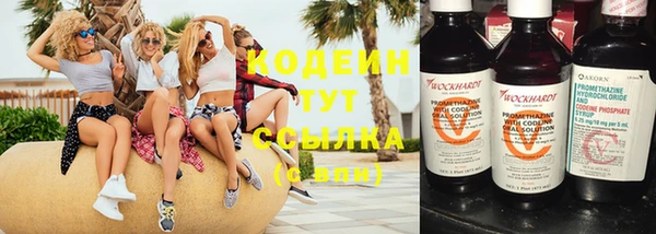 стафф Ельня