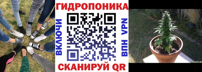 Бошки Шишки тримм Новая Усмань